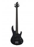 ESP LTD 10 B BK