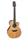 Takamine GN20CE Satin NT