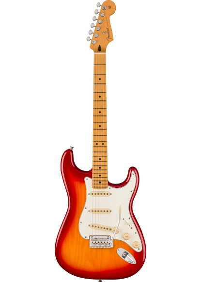 Fender Stratocaster player II ACB