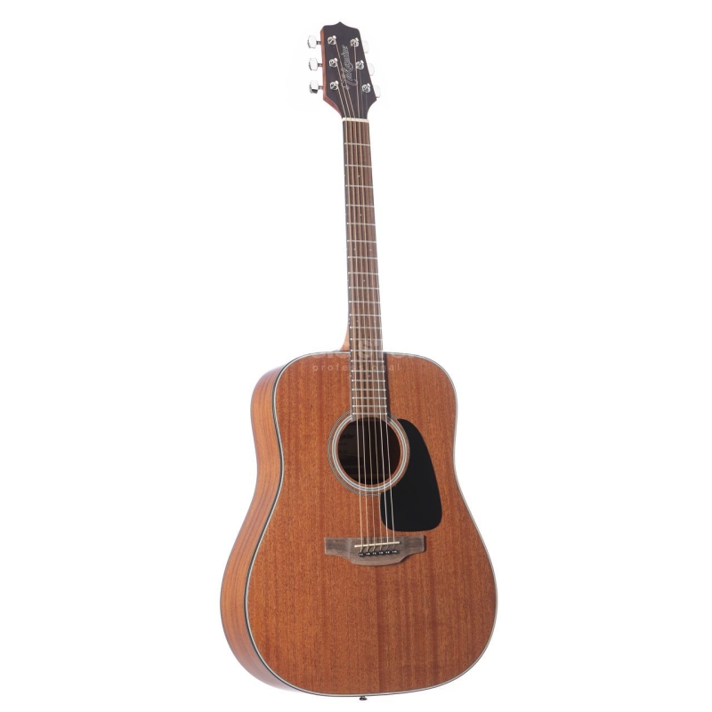 Takamine GD11M NS